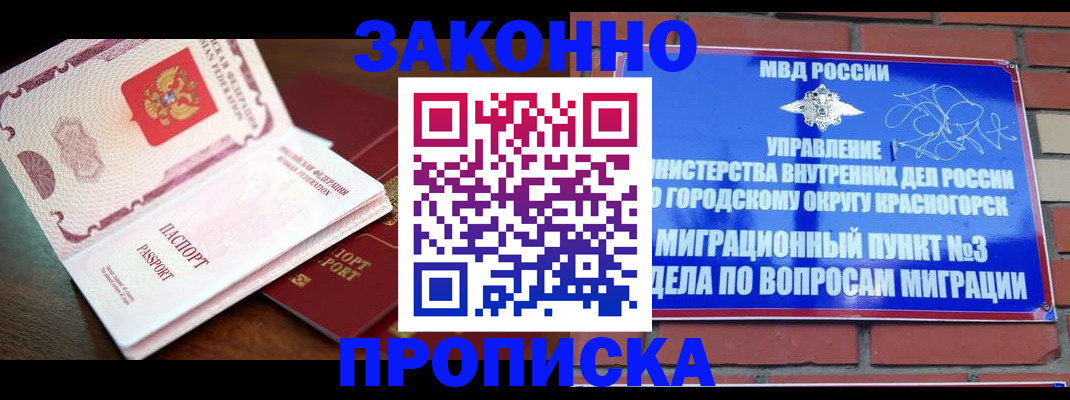 прописка для школы в Заполярном